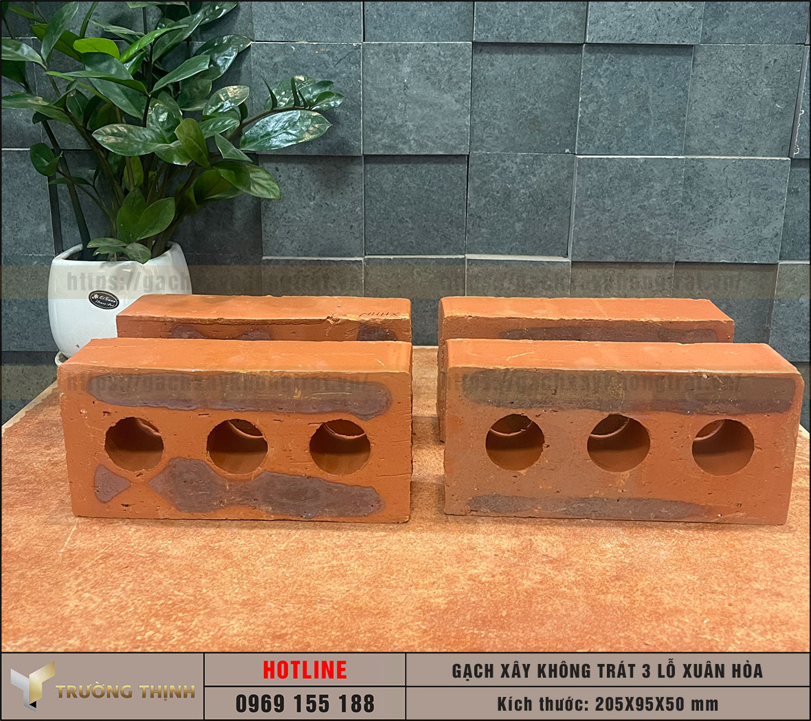 Gạch 3 lỗ xây không trát Xuân Hòa Hà Nội