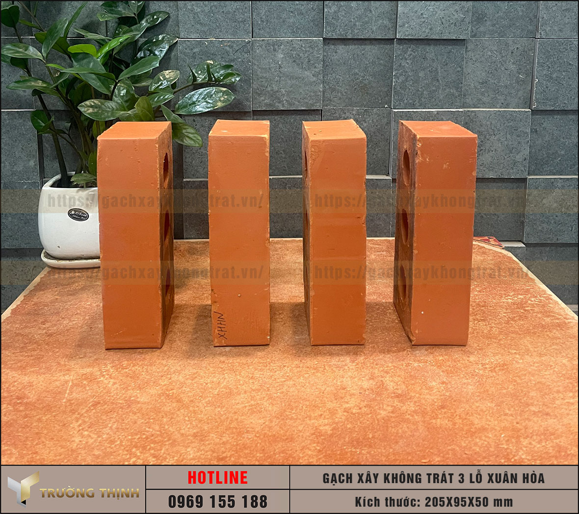 Gạch 3 lỗ xây không trát Xuân Hòa Hà Nội