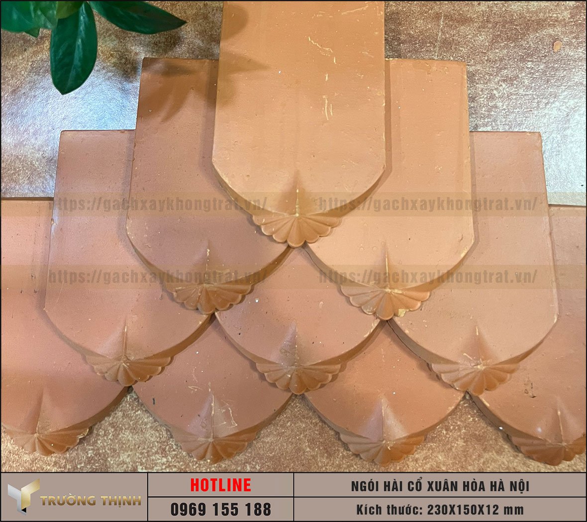 Ngói lợp mái nhà sò thường Xuân Hòa Hà Nội