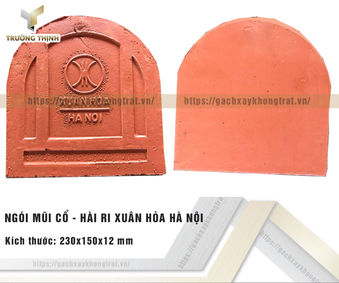 Ngói hài tiểu 150 Xuân Hòa Hà Nội giá ưu đãi