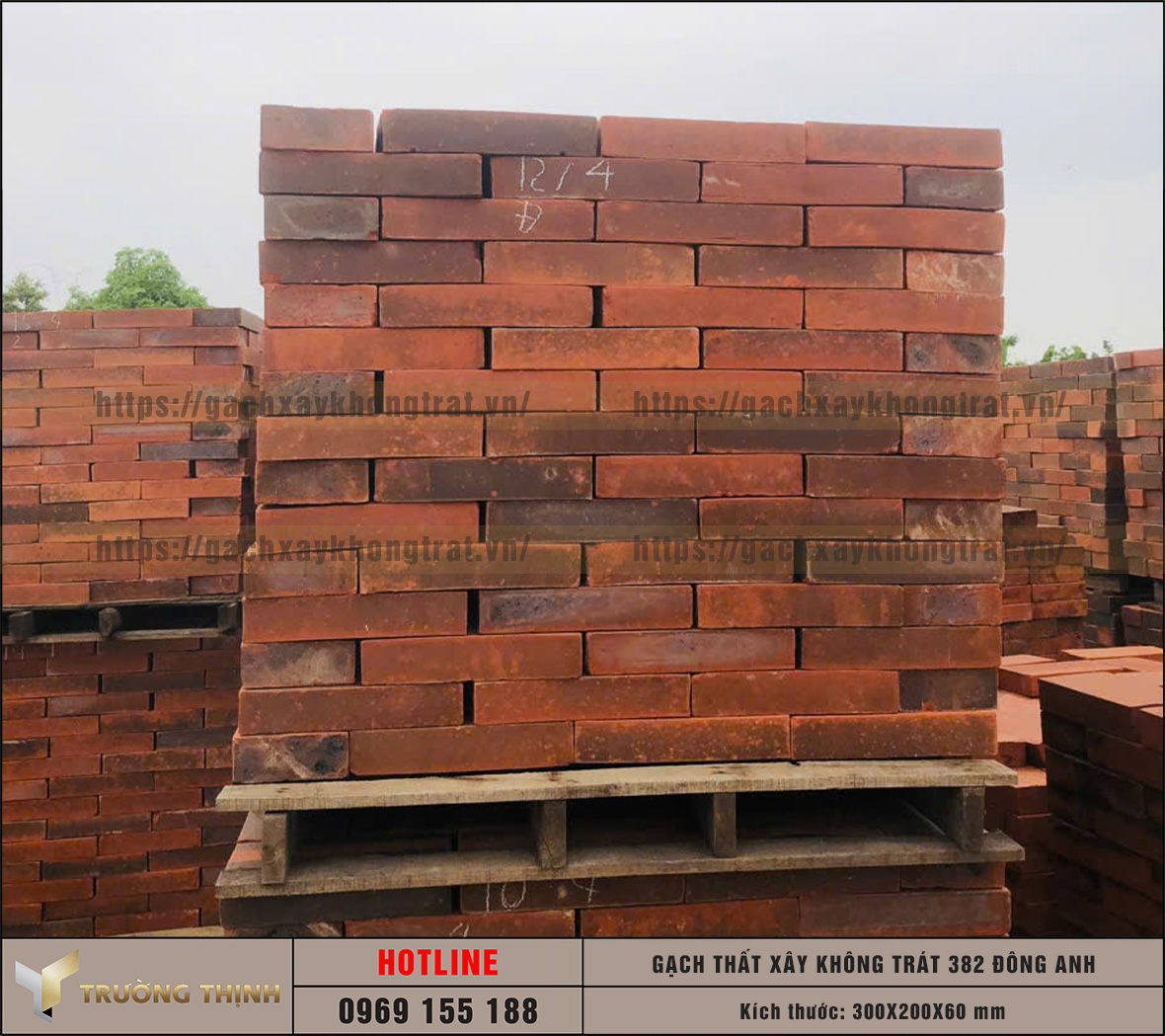 Báo giá gạch thất 300x200x60 xây không trát 382 Đông Anh mới nhất | Trường Thịnh Group