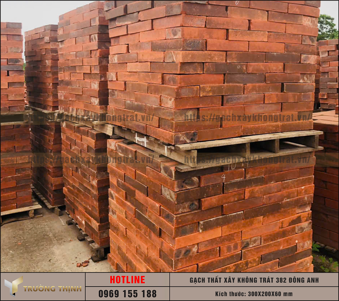 Báo giá gạch thất 300x200x60 xây không trát 382 Đông Anh mới nhất | Trường Thịnh Group