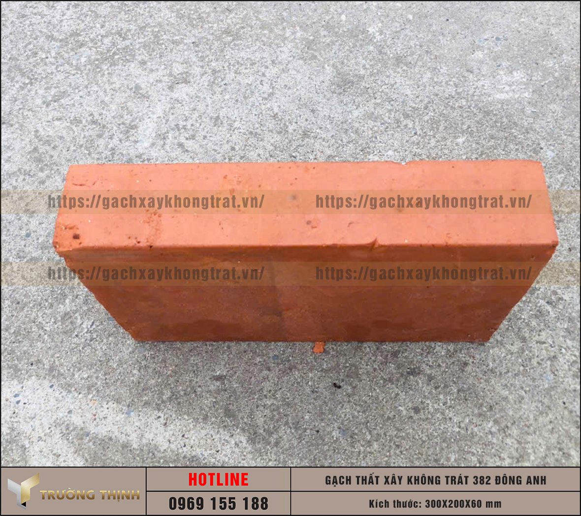 Báo giá gạch thất 300x200x60 xây không trát 382 Đông Anh mới nhất | Trường Thịnh Group