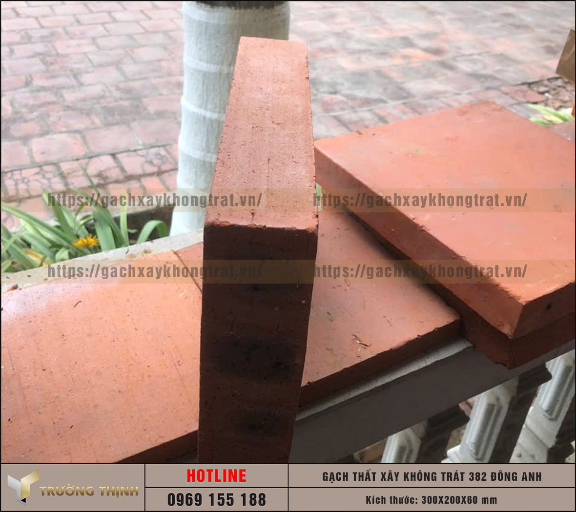 Báo giá gạch thất 300x200x60 xây không trát 382 Đông Anh mới nhất | Trường Thịnh Group