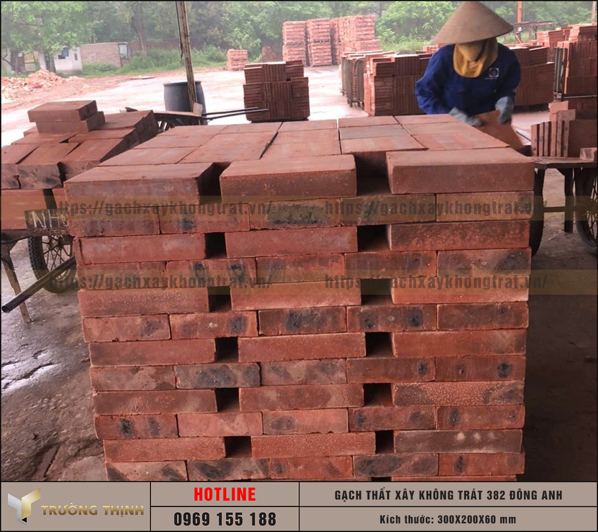 Báo giá gạch thất 300x200x60 xây không trát 382 Đông Anh mới nhất | Trường Thịnh Group
