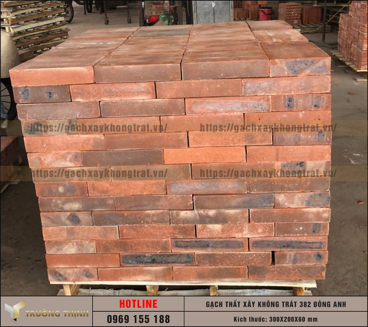 Báo giá gạch thất 300x200x60 xây không trát 382 Đông Anh mới nhất | Trường Thịnh Group