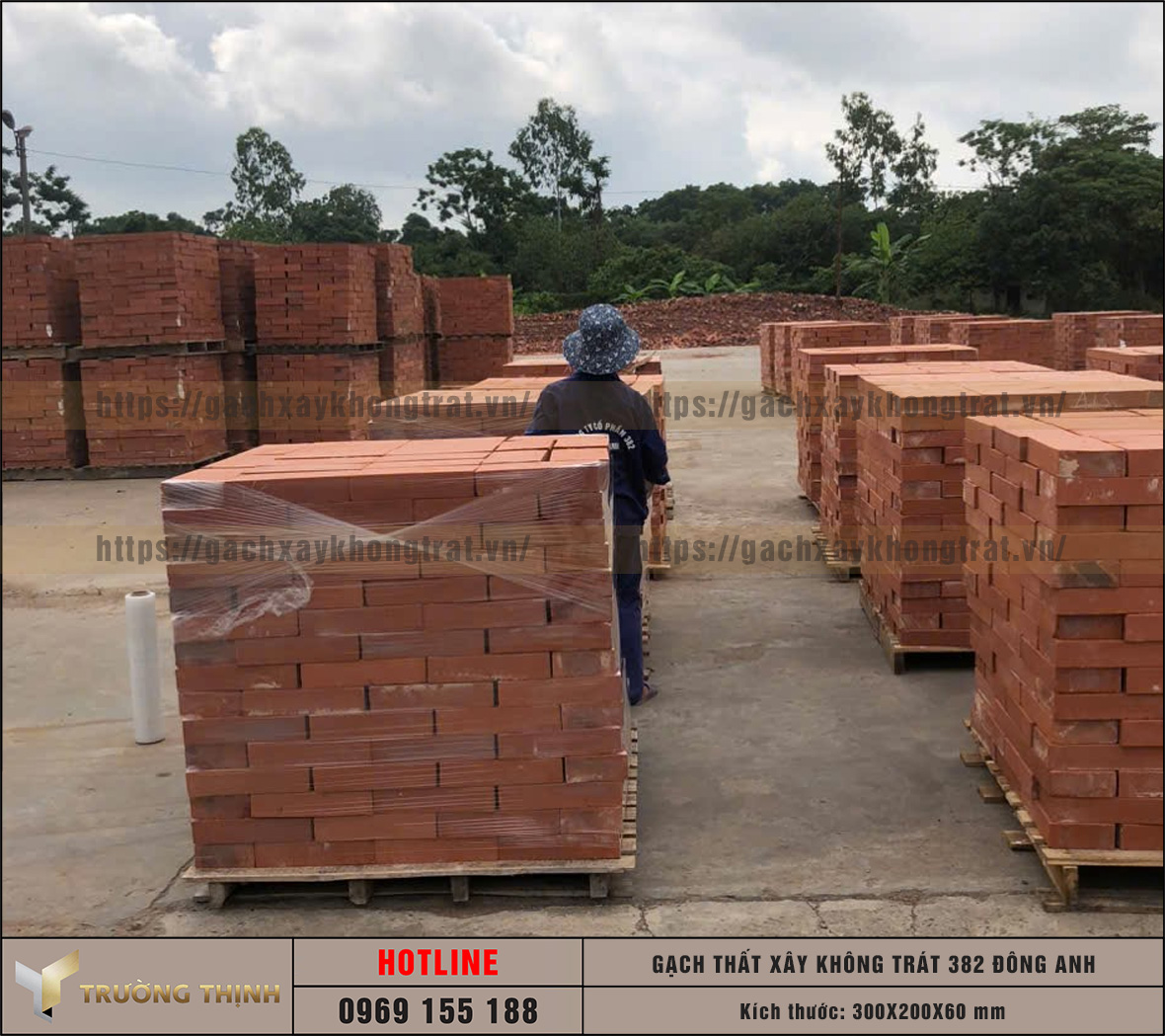 Báo giá gạch thất 300x200x60 xây không trát 382 Đông Anh mới nhất | Trường Thịnh Group