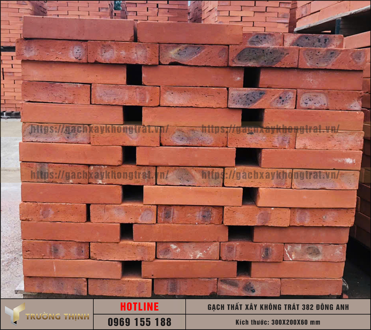 Báo giá gạch thất 300x200x60 xây không trát 382 Đông Anh mới nhất 2026