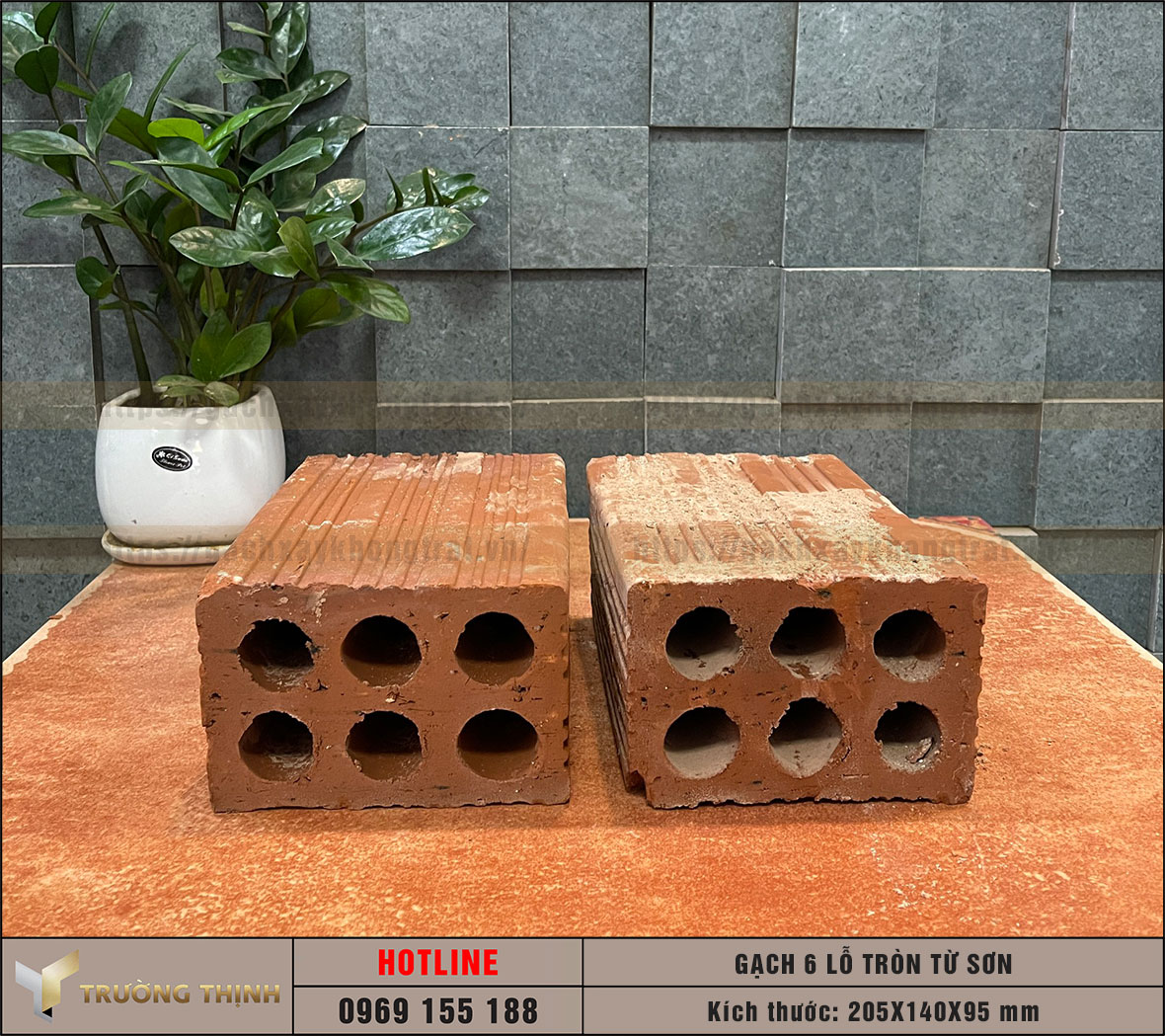 Gạch chống nóng 6 lỗ tròn Viglacera Từ Sơn