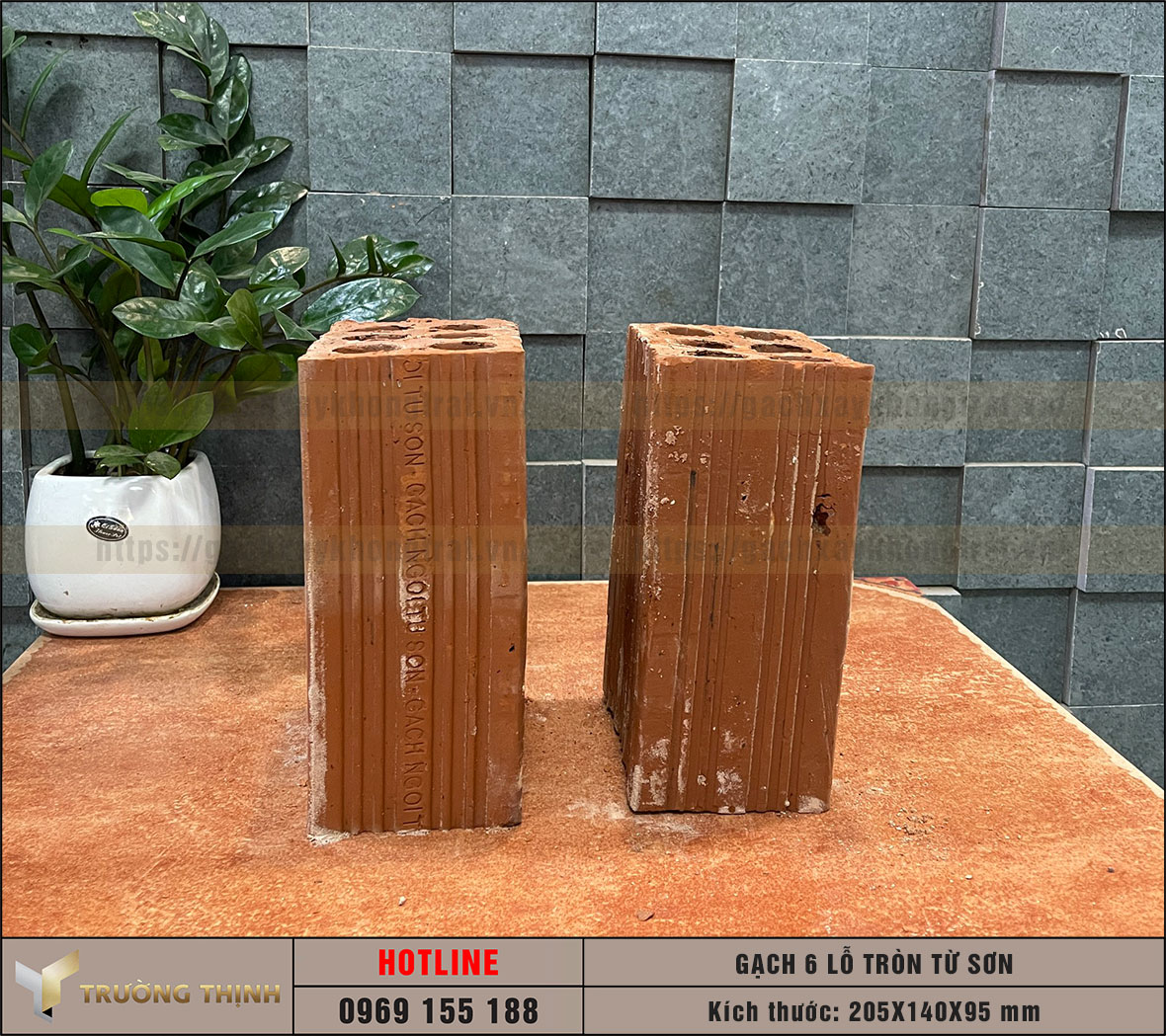 Gạch chống nóng 6 lỗ Viglacera Từ Sơn