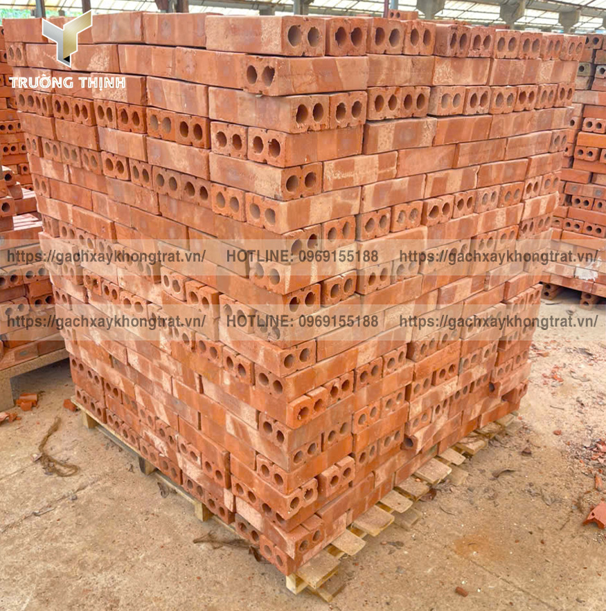 Gạch Tuynel 2 Lỗ Xây Tường Không Trát: Đẹp, Bền và Tiết Kiệm Chi Phí