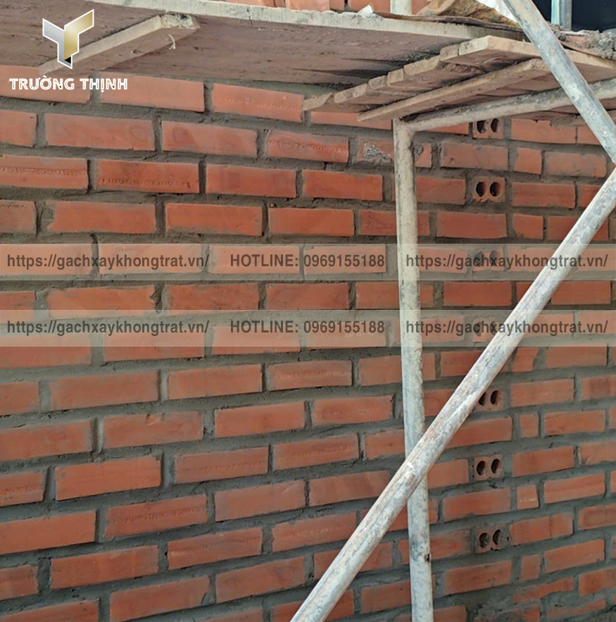 Gạch Tuynel 2 Lỗ Xây Tường Không Trát: Đẹp, Bền và Tiết Kiệm Chi Phí