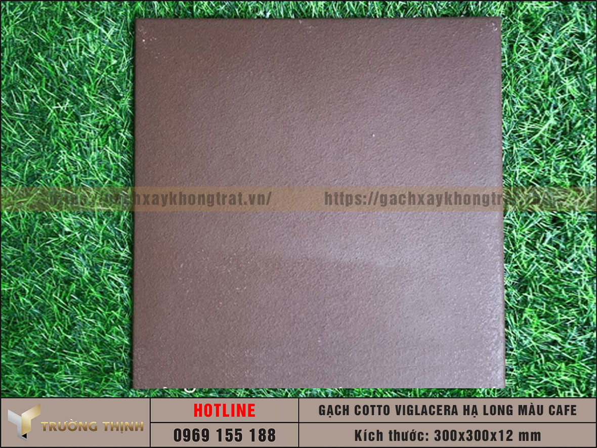 Gạch cotto 300x300 màu cafe Viglacera Hạ Long giá rẻ