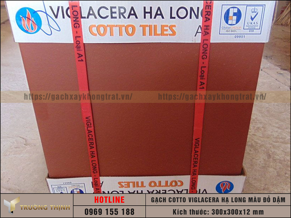 Gạch cotto 300x300 màu đỏ đậm Viglacera Hạ Long giá rẻ