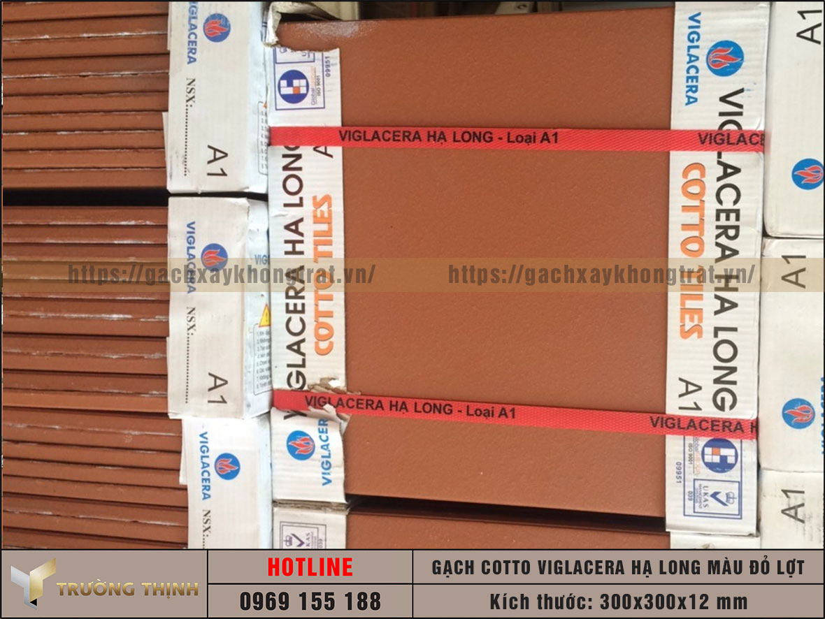 Gạch cotto 300x300 màu đỏ thường Viglacera Hạ Long giá rẻ