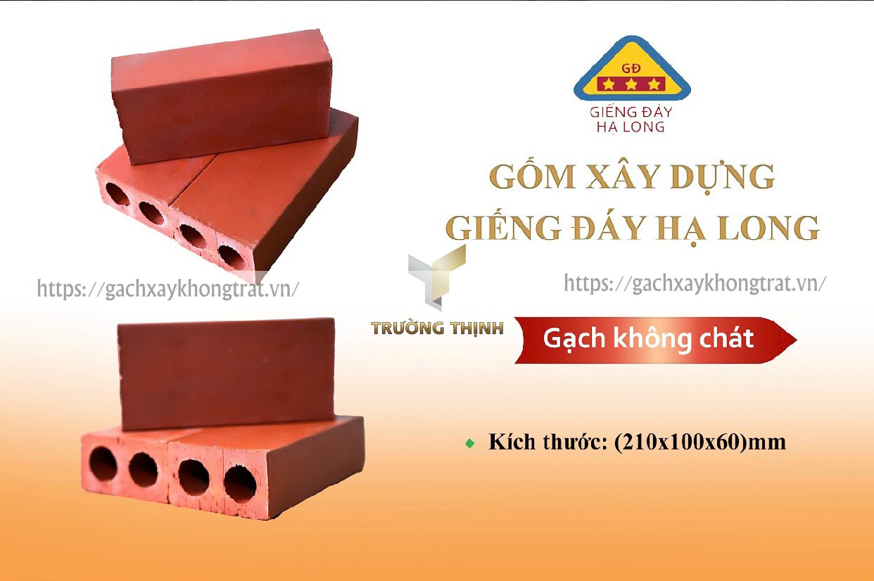   Chọn Mua Gạch Xây Không Trát 2 Lỗ Giếng Đáy Ở Đâu Giá Tốt 2025?