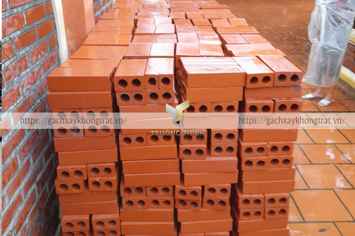Gạch xây không trát 2 lỗ Giếng Đáy