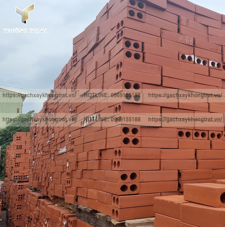 Gạch 2 Lỗ Xây Không Trát: Lựa Chọn Tối Ưu Cho Tường Ngăn Nội Thất, Ưu Nhược Điểm & Báo Giá