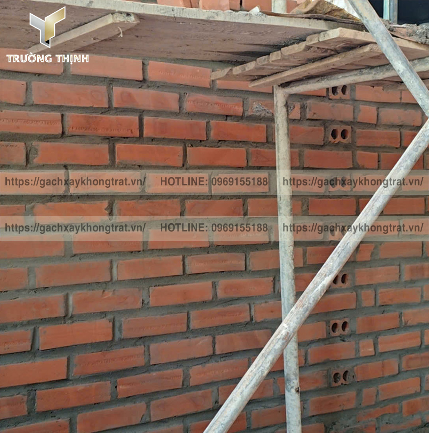 Gạch 2 Lỗ Xây Không Trát: Lựa Chọn Tối Ưu Cho Tường Ngăn Nội Thất, Ưu Nhược Điểm & Báo Giá