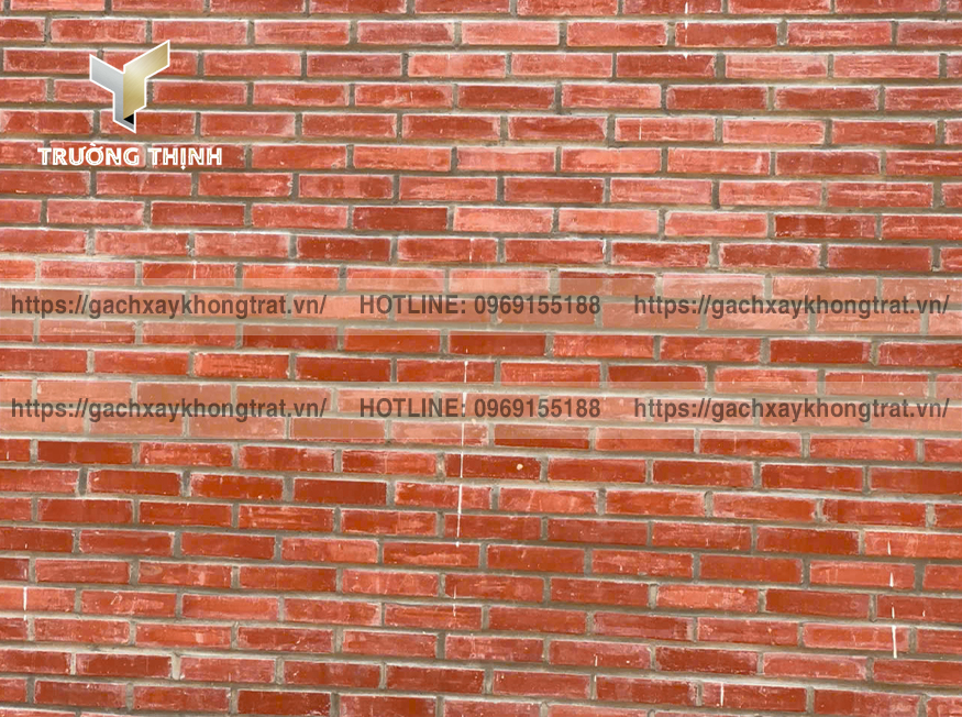 Gạch Xây Không Trát Xuân Hòa: Giải Pháp Tối Ưu Tiết Kiệm Chi Phí & Thời Gian