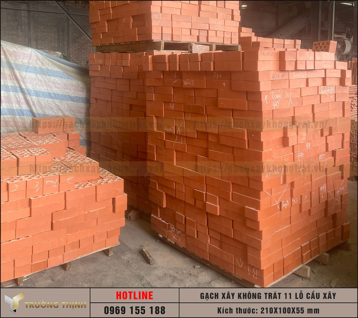 Gạch 11 lỗ xây không trát Cầu Xây