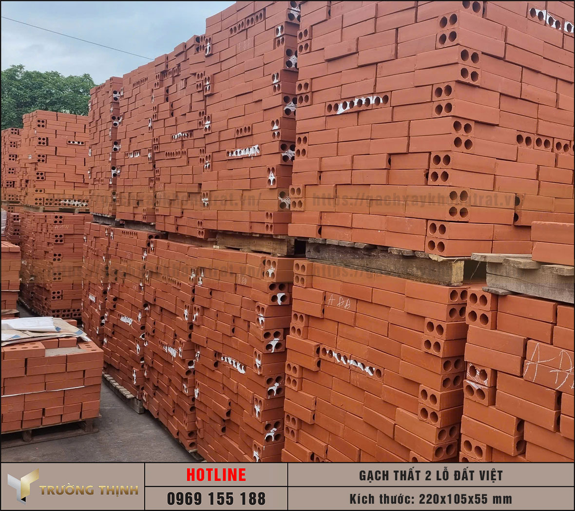 Gạch 2 lỗ 220x105x55 xây không trát Đất Việt