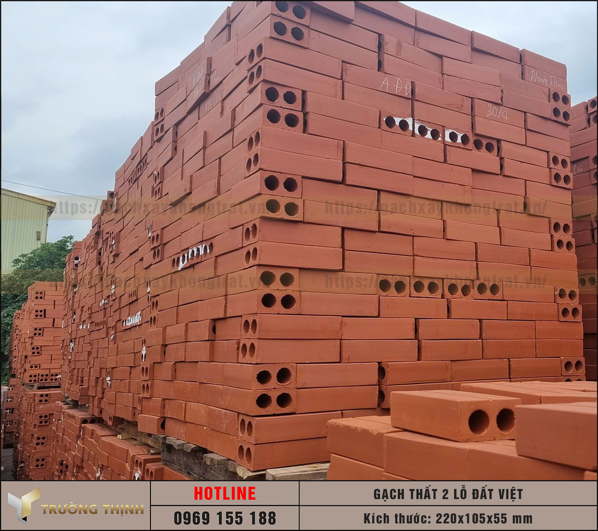 Gạch 2 lỗ 220x105x55 xây không trát Đất Việt
