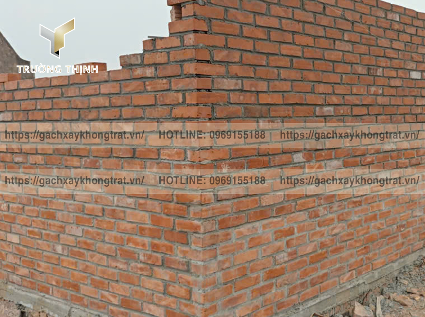 Gạch Xây Không Trát Là Gì? Giải Pháp Tối Ưu Cho Công Trình Hiện Đại | Trường Thịnh