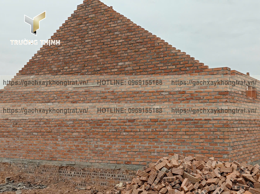 Gạch Xây Không Trát Là Gì? Giải Pháp Tối Ưu Cho Công Trình Hiện Đại | Trường Thịnh