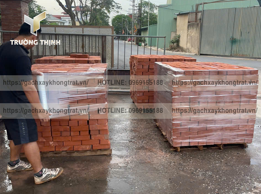 Gạch Xây Không Trát Là Gì? Giải Pháp Tối Ưu Cho Công Trình Hiện Đại | Trường Thịnh