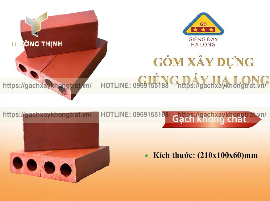 Gạch Xây Không Trát Là Gì? Giải Pháp Tối Ưu Cho Công Trình Hiện Đại | Trường Thịnh