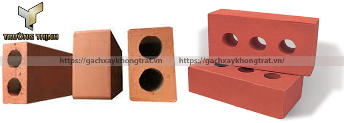 Gạch xây không trát Viglacera Hạ Long