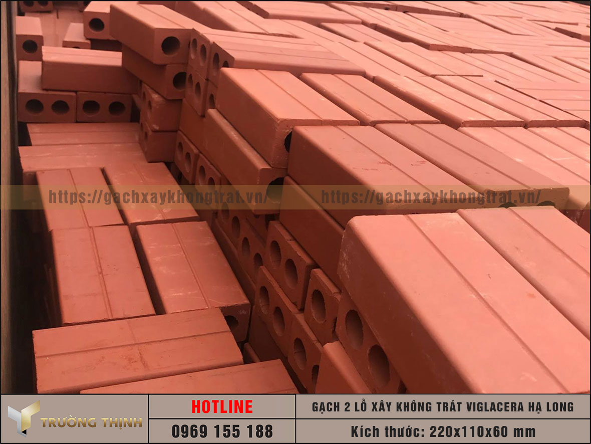 Gạch xây không trát 2 lỗ Viglacera Hạ Long