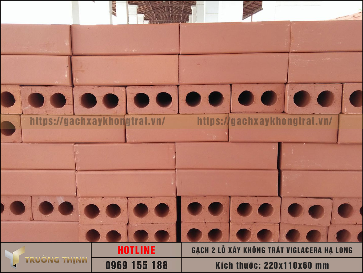 Gạch xây không trát 2 lỗ Viglacera Hạ Long