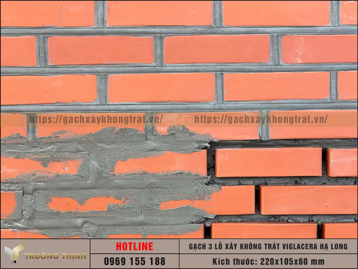 Gạch xây không trát 3 lỗ Viglacera Hạ Long