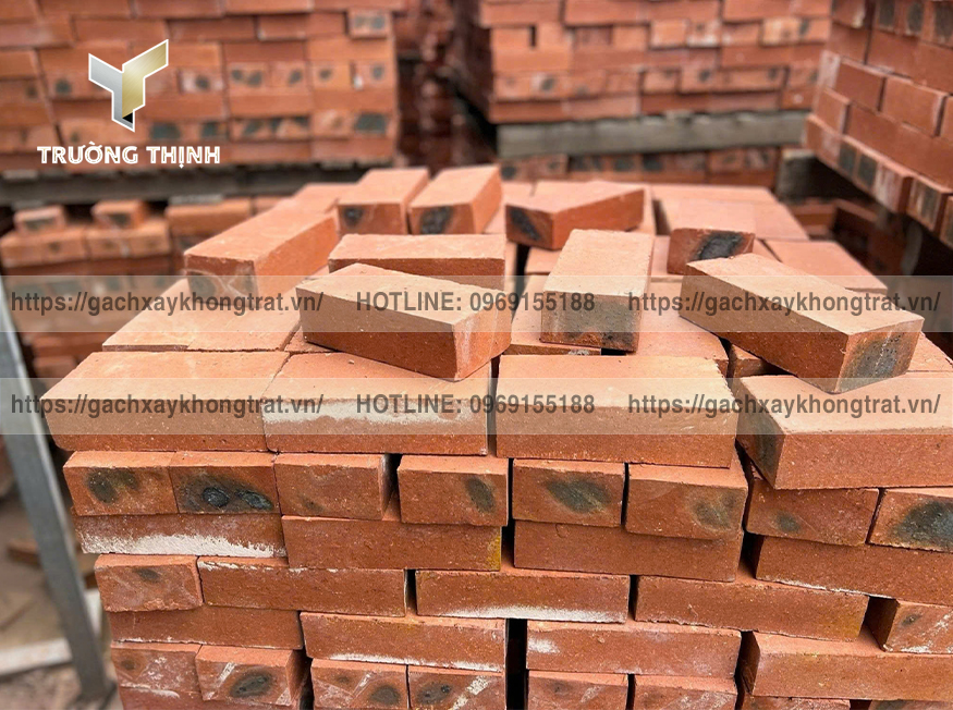 Gạch Xây Tường Không Trát Thiện Chí: Giải Pháp Tối Ưu Cho Nhà Phố & Biệt Thự - Trường Thịnh Group