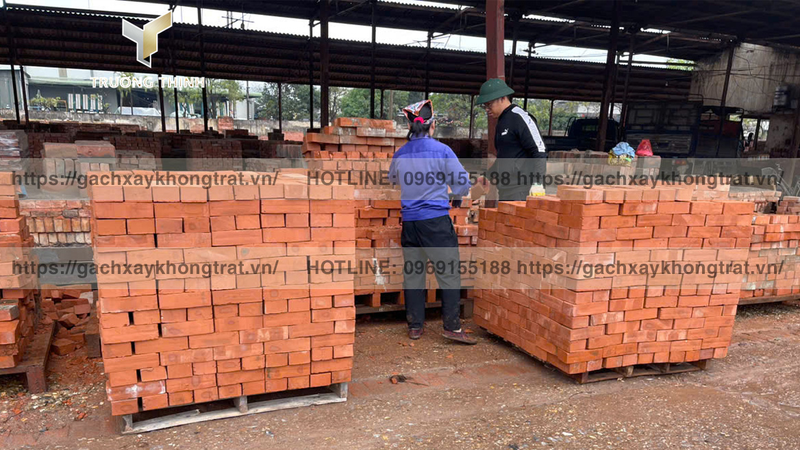 Trường Thịnh tổng đại lý phân phối gạch xây không trát giá ưu đãi từ các nhà mày