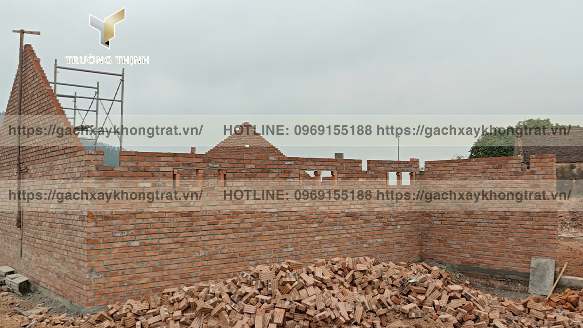 Trường Thịnh tổng đại lý phân phối gạch xây không trát giá ưu đãi từ các nhà mày