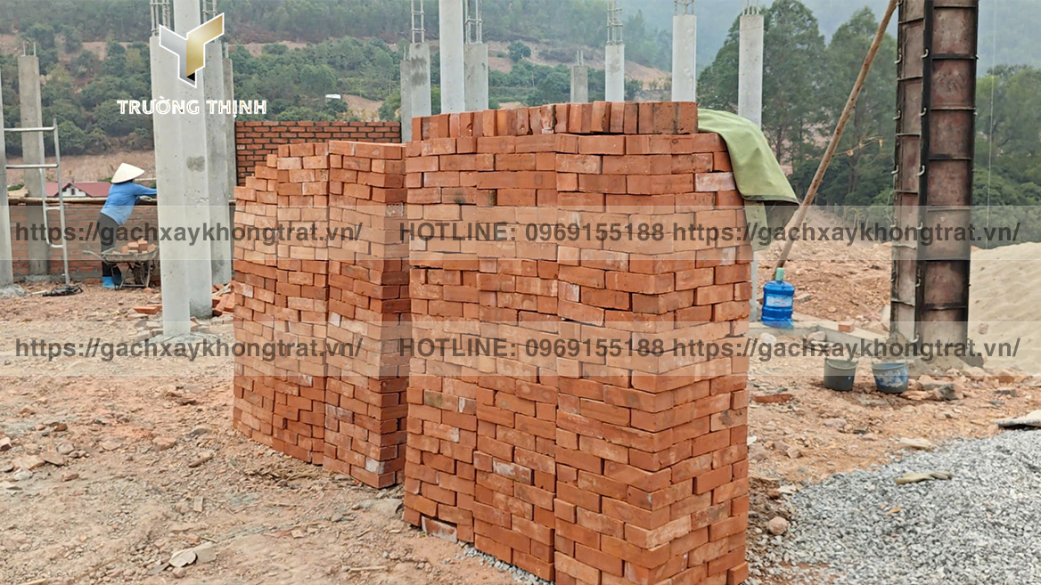 Trường Thịnh tổng đại lý phân phối gạch xây không trát giá ưu đãi từ các nhà mày