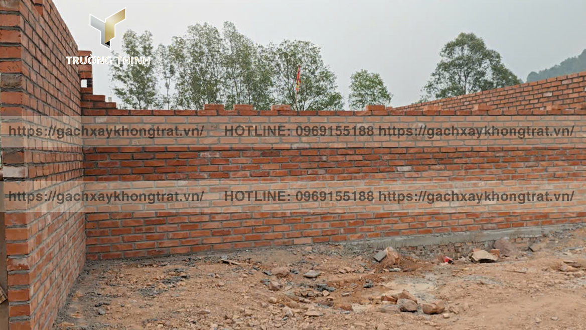 Trường Thịnh tổng đại lý phân phối gạch xây không trát giá ưu đãi từ các nhà mày