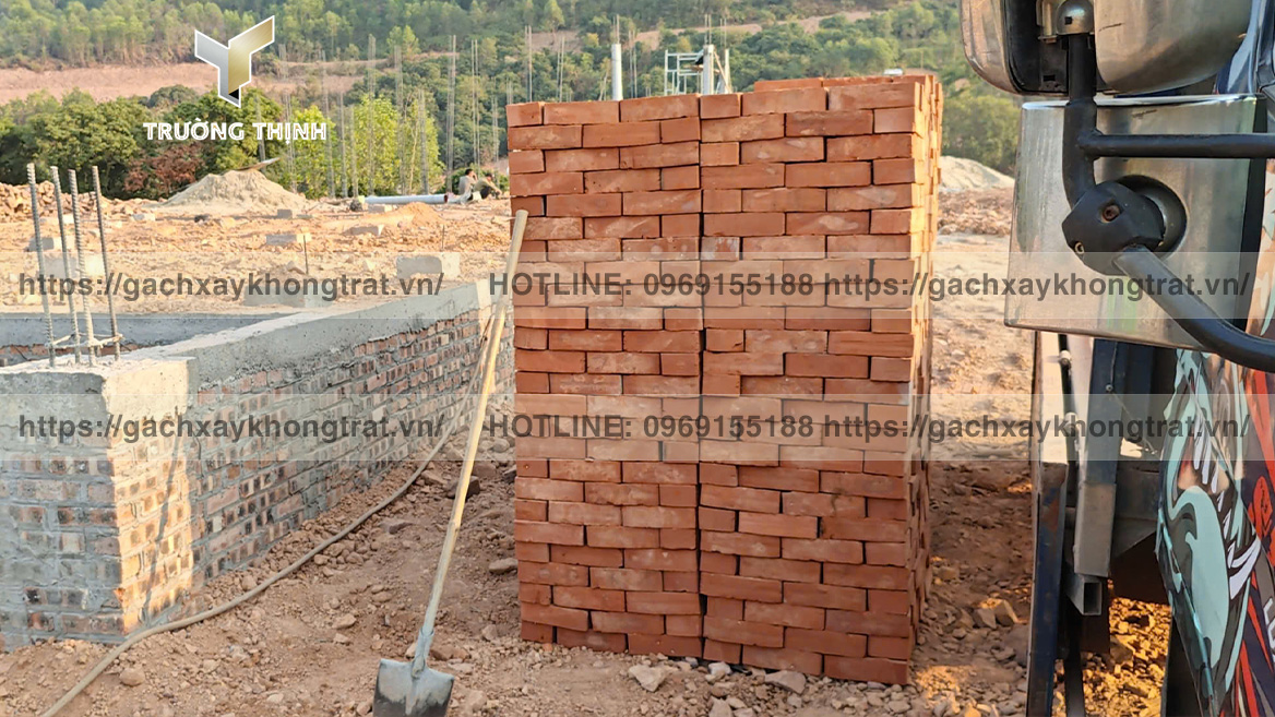 Trường Thịnh tổng đại lý phân phối gạch xây không trát giá ưu đãi từ các nhà mày