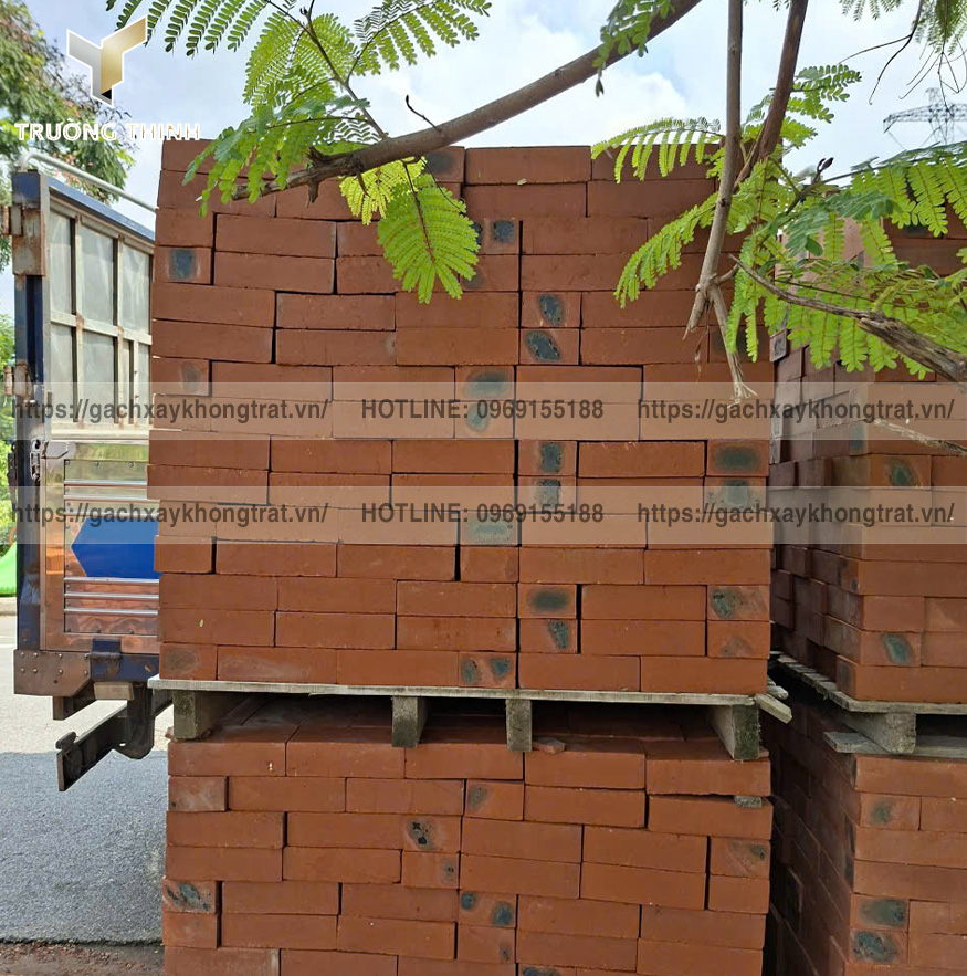Khám phá các mẫu gạch đặc xây không trát xây mộ đẹp từ thương hiệu Xuân Hòa Hà Nội và Thiện Chí. Gạch cao cấp, bền màu, chống thấm, phân phối bởi Trường Thịnh Group.