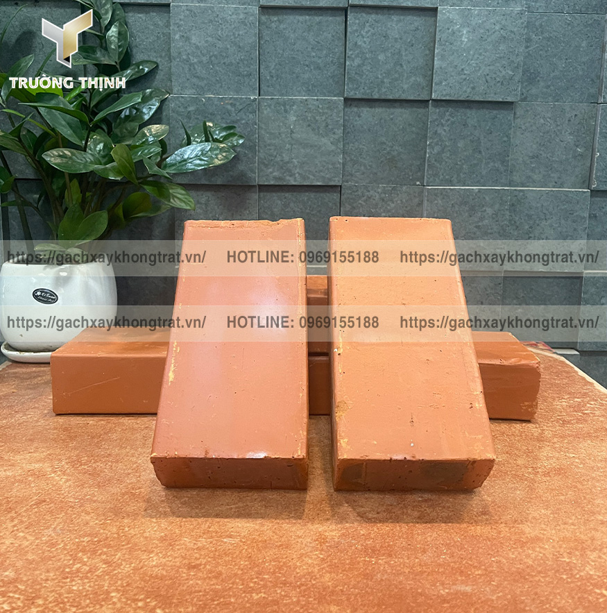 Khám phá các mẫu gạch đặc xây không trát xây mộ đẹp từ thương hiệu Xuân Hòa Hà Nội và Thiện Chí. Gạch cao cấp, bền màu, chống thấm, phân phối bởi Trường Thịnh Group.