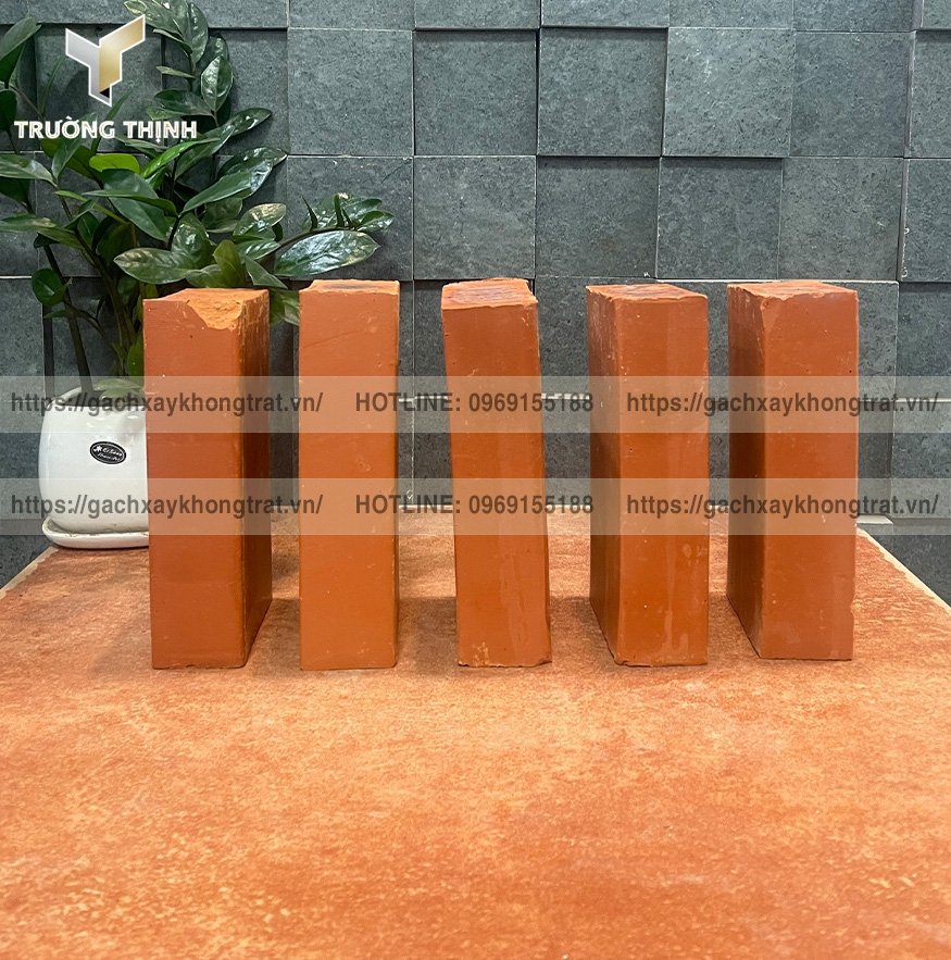 Khám phá các mẫu gạch đặc xây không trát xây mộ đẹp từ thương hiệu Xuân Hòa Hà Nội và Thiện Chí. Gạch cao cấp, bền màu, chống thấm, phân phối bởi Trường Thịnh Group.