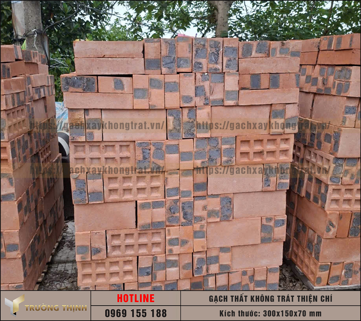 Gạch thất Thiện Chí 300x150x70 gạch xây không trát đẹp cho công trình tâm linh
