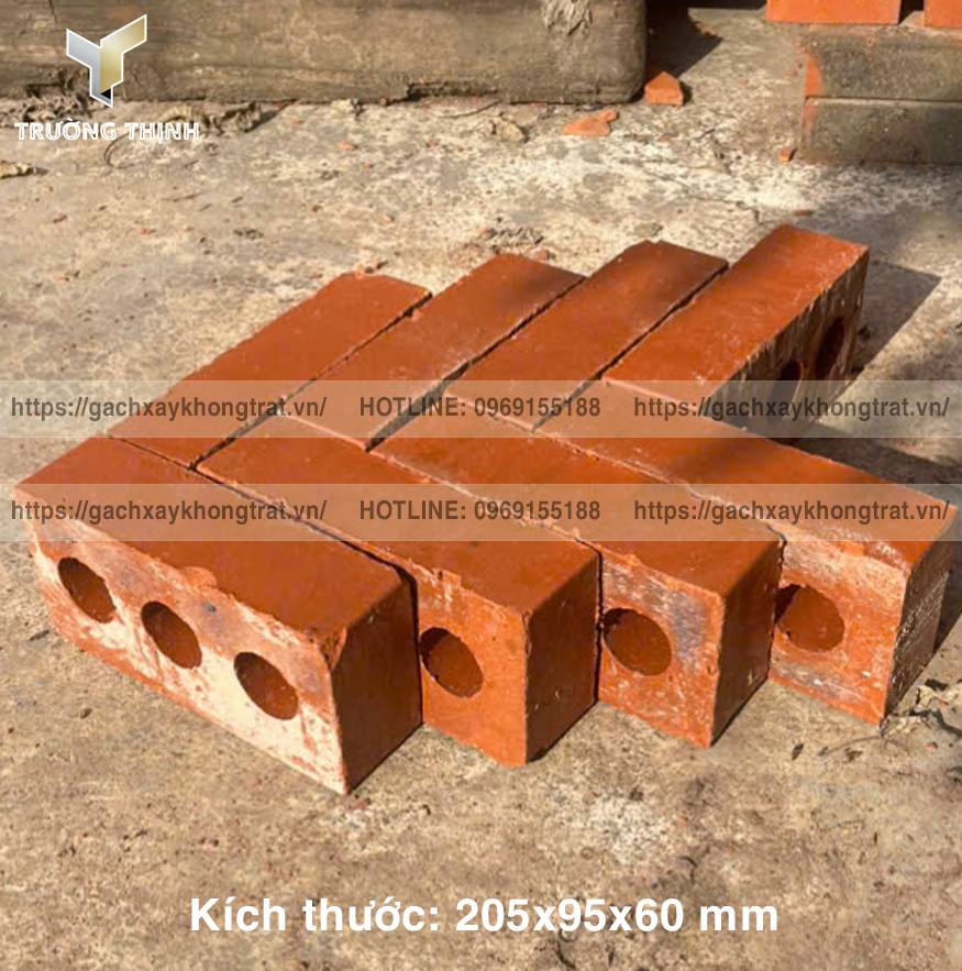 Báo Giá Mẫu Gạch 3 Lỗ Xây Không Trát Lát Sân Vườn – Vẻ Đẹp Mộc Mạc Từ Thương Hiệu 382 Đông Anh