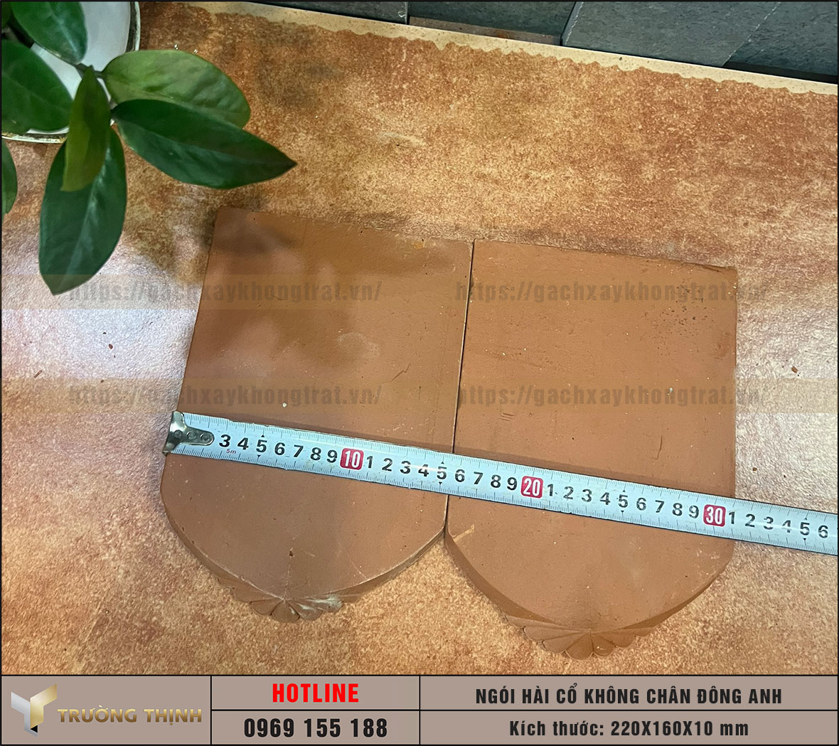 Ngói lợp mái nhà - Ngói mũi hài cổ 382 Đông Anh