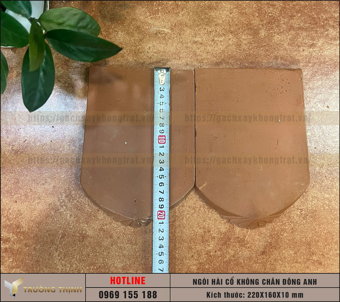 Ngói lợp mái nhà - Ngói mũi hài cổ 382 Đông Anh
