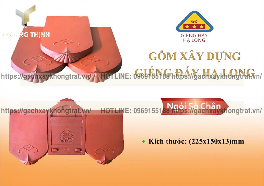 Trường Thịnh - Tổng đại lý phân phối ngói sò cổ có chân Giếng Đáy Hạ Long giá ưu đãi