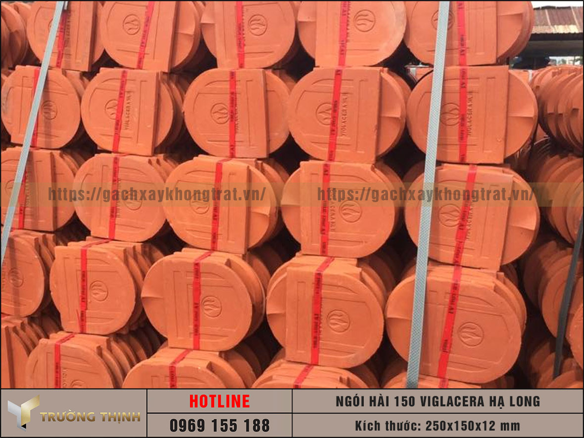 Ngói hài 150 Viglacera Hạ Long